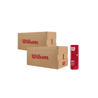 Cartone Palle Padel Wilson x3 Cartone Palle x2